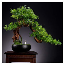 Indoor Simulation Welcome Pine Bonsai Green Plant Potted Hotel Fake Tree Landscape Plant Corridor Decoration Decoration Gift House Plant (Color : C)