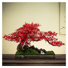 Artificial Bonsai Tree Home Decor Simulated Welcome Pine Bonsai Porch Living Room Decoration Indoor Pseudopotted Green Plant Tabletop Ornaments Gifts Office Decoration Bonsai (Color : B)