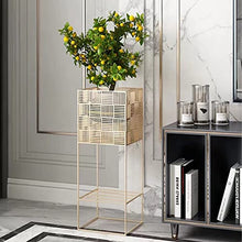 RWGOVLU Light Luxury Wrought Iron Living Room Flower Stand Floor-to-Ceiling Home Balcony Indoor Flower Stand Shelf Green Dill TV Next to The Potted Plant Stand, 52cm, Gold