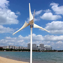 Marsrock 600W 24V AC Small Wind Turbine Generator Windmill with LED Indicator MPPT Controller for Wind Solar Hybrid System 2m/s Low Start Wind Speed 3 Blades(3S4-600H-24W-D)