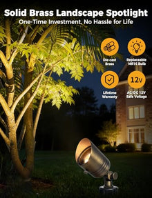 COLOER 5W 12V Brass Outdoor Landscape Spot Light with Bulb(12Pack)