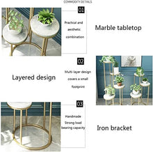ZOCWJK Plant standIndoor Flower Rack Matal Indoor Flower Stand Multilayer Flower Pot Rack Living Room Balcony Easy Landing Flower Shelf Display Stand,Gold-40 * 40 * 80cm
