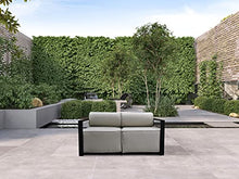 Solis Volantes Loveseat Black Sage