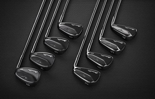 Mizuno Pro 225 Black Golf Iron Set Right Hand Steel Stiff