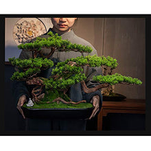 YXIANG56Q Fake Plants Simulation Welcome Songke Bonsai Office Decoration New Green Plants Living Room Entrance Decoration Podocarpus Hotel Gifts and Crafts Bonsai Tree(A)