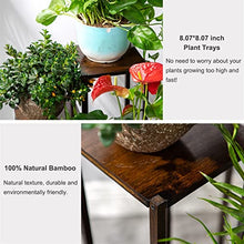 RWGOVLU Flower Stand Plant Stands, Planter Pot Holder Shelf, Indoor Outdoor Flower Display Organizer Storage Rack, Heavy Duty Planter Plant Stand