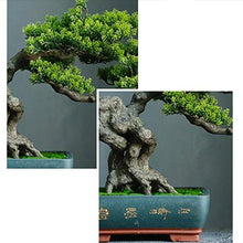 YXIANG56Q Fake Plants Grade Simulation Welcome to Tree Tree Bonsai Hotel Office Tea Several Live Hall Extreme Decoration Beautiful Items Bonsai Tree(E)