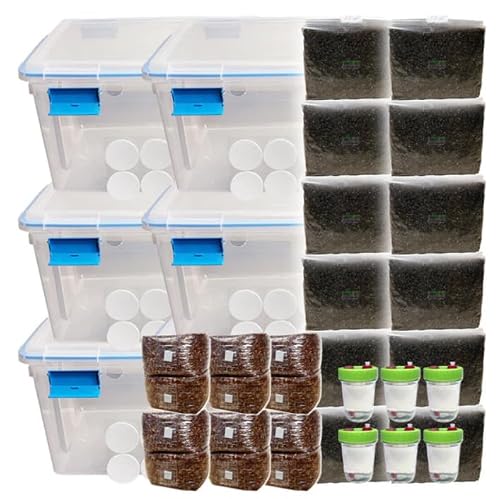 All-in-One Monotub Grow Kit with 36 lb Sterile Grain & 60 lb CVG Substrate | Indoor Grow Tub with Gasket Lid, Filter Patches & Self-Sealing Ports | For Gourmet & Functional Fungi | 6 Large Tubs