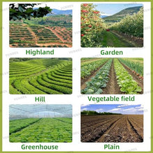 Precision Vegetable Planter, Adjustable Garden Spreader with 3-50 Cm Plant Spacing 1-5 Cm Sowing Depth Adjustable, Offer 1-6 Row Configurations, for Small-Scale Farming Applications(2 Line)
