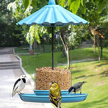 ZYBB Wild Bird Feeder for Outdoor Hanging for Garden Yard，Easy to Clean Hummingbird Feeder(Color:A)