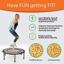 MXL MaXimus Life FIT BOUNCE PRO XL Premium Bungee Rebounder Black