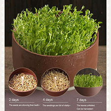 Bean Sprouts Machine, LED Display Time Control, 2 Layers Function Large Capacity Seed Grow Cereal Tool, Seed Sprouting Kit With Double Germination Tray
