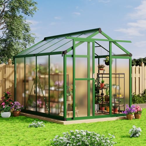 6x8 FT Greenhouse - Large Aluminum Greenhouses for Outdoors