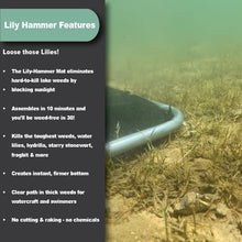 Lily Hammer (2 Pack - 6 ft x 14 ft) - Get Rid of Lilies and Algae for Good with Lily Hammer Mat - No More Green Water. The Key to Clear Water