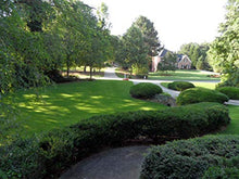 StarPro Greens SPG-US 1.75" Tall Ultrasoft Artificial Grass with Ultra-Flo $3.22/sq.ft. (Pick Size Below) (6 ft. x 15 ft. = 90 sq. ft.)