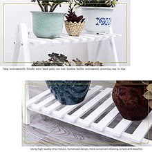 ZOCWJK Wooden Plant Stand Pot Display Holder for Balcony Double Tier Flower Shelf Stand,
