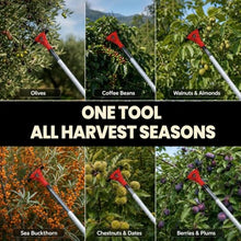 Battery Powered Fruit Tree Shaker Tool for Harvest and Coffee