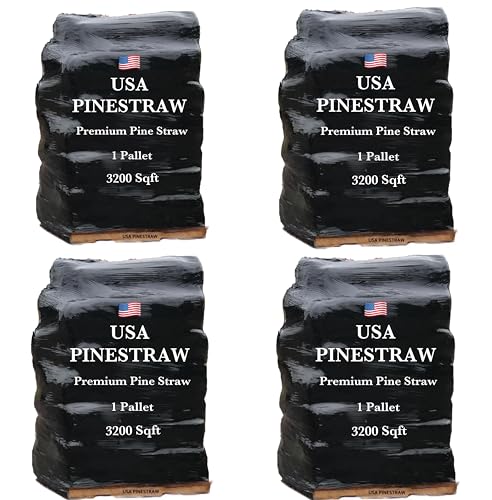 Long Needle Pine Straw Mulch - 3200 Sqft Coverage 4 Set - Premium USA Harvested PineStraw for Landscaping, Weed Control, Moisture Retention & Erosion Control - USA Pinestraw