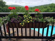 44" Wrought Iron Window Hayrack Coated in Black PVC - 4 Pack