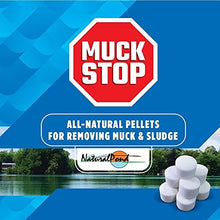 NaturalPond MuckStop All-Natural Pellets for Removing Muck and Sludge, 24.25lb
