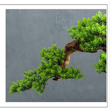 Simulation Welcome Guest Bonsai Ornaments Living Room Hallway Home Soft Ornament Christmas Study Green Plant Resin Gift House Plant (Color : B)