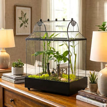 H Potter Large Glass Terrarium Wardian Case with Curved Glass, 19.5" Tall