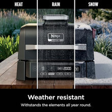 Ninja Woodfire Outdoor Grill & Smoker, 3-in-1 BBQ, Bake & Roast, OG301