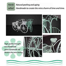 OJKJGYTF Tricycle Plant Stand Flower Pot Cart Holder Ideal for Home, Garden, Patio Great Gift for Plant Lovers, Housewarming, Mother's Day