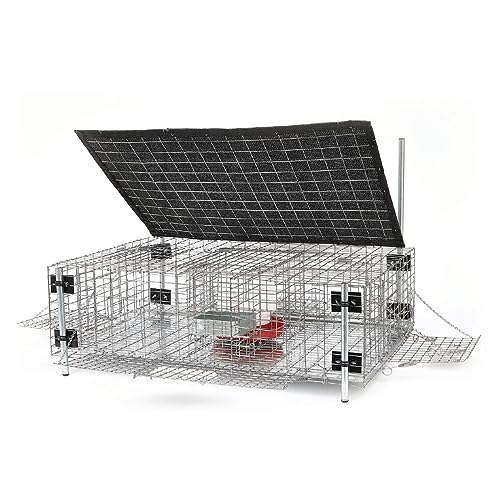 Bird B Gone Pigeon Trap for Slanted Surfaces, 36x24x10in, 20-Bird Capacity