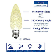 Novelty Lights 250 Feet C9 LED Outdoor LED Christmas Lights, Warm White