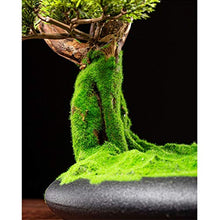YXIANG56Q Fake Plants Yingbin Pine Simulation Tree Fake Plant Bonsai Indoor Garden Home Office Desktop Decoration Green Plant Simulation Tree Ornaments Bonsai Tree(E)