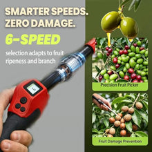 Battery Powered Fruit Tree Shaker Tool for Harvest and Coffee