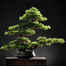 YXIANG56Q Fake Plants Simulation Bonsai Tree Chinese Style Welcome Pine Indoor Potted Bonsai Plant Decoration Zen Dry Landscape Ornaments Home Office Hotel Decor Bonsai Tree