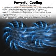 Professional Cold Plunge Chiller System for Athletes A
