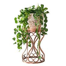 WZWTYSM Classic Tall Plant Stand Art Flower Pot Holder Rack Planter Supports Garden Home Decorative Pots Containers Stand
