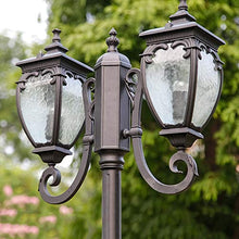 iumLeap 2-Light Traditional Black Die-Cast Alandscape Lantern Victorian Outdoor High Pole Street Light Ip54 Waterproof Garden Lighting Fitting Decking Patio Path Pil(Height 2.85m)