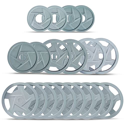 Bells of Steel Cast Iron Weight Plates Gray