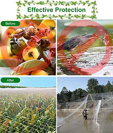 Elitix Fruit Trees Trellis Garden Netting - 10 16 23 33 49 66 82 98 115 131 Ft Wide, Professional White Protection Deer Fence - for Anti Bird, with Square Mesh(30x30m/98x98ft)