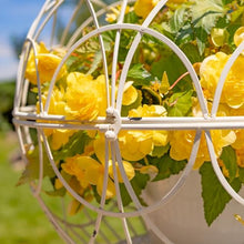 Zaer Ltd. Set of 2 Iron Globe Plant Stand- Color Options (Antique White)