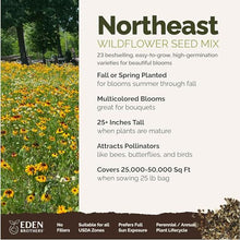 Eden Brothers Northeast Wildflower Mixed Seeds for Planting, 25 lb