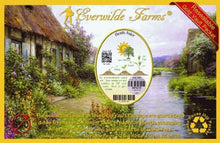 Everwilde Farms - 1/4 Lb Heath Aster Native Wildflower Seeds - Gold Vault