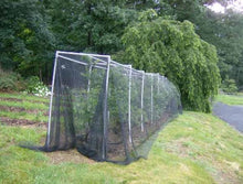 Green Vista's Deluxe Bird Barrier Net/Netting - 32x48 Feet - Protects Fruit Trees, Berry Shrubs, Vegetables, Flowers and More - 1/4x3/8 Inch Mesh