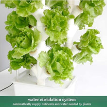 Indoor Hydroponics System Indoor Garden Hydroponic Grow Kit,Indoor Garden, Planter for Fruits, & Vegetables, Vertical Farming for Indoor Tower Garden Kit wyqdp240305(Color:,Size:B)