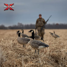 Avian-X AXP Honkers Full Body Canada Goose Decoys Fusion Pack Multicolor