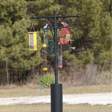 Backyard Essentials Squirrel Proof Bird Feeder Pole with Squirrel Baffle - 8 Hook Heavy Duty Stand - 8+ Foot Tall Black Powder Coated Steel Pole with Deep Set Auger Anchor