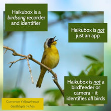Haikubox Bird Song & Call Identifier: 24/7 backyard sound identification
