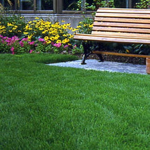 Outsidepride Legacy Fine Fescue Grass Seed Mix - 50 lbs. Shade & Sun Tolerant Blend of Hard, Chewings & Creeping Red with OptiGrowth Coating for Better Establishment