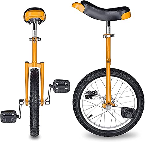 JINCAN Unicycle 20-Inch Balance Bicycle with Anti-Skid Tires