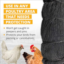 Stromberg's 1" Knotted Heavy Duty Game Bird Netting Black