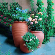 iumLeap Planter Pots Red Clay Flower Pot Set Outdoor Garden Landscape Clay Pots Rough Terra Cotta Pots Three Sets of Patio Ornaments Flower Plant Pot